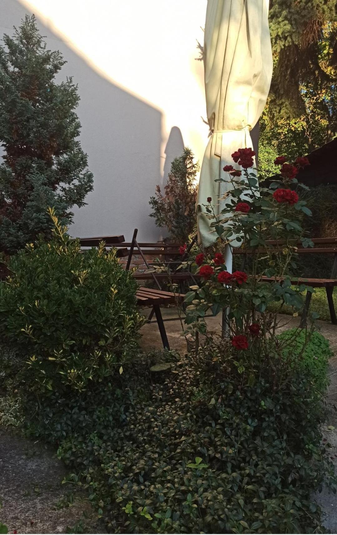 Apartman Oaza Olja Belgrad Exterior foto